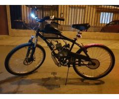 Bici Moto Mosquito